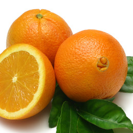 ネーブルオレンジの写真